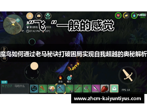 魔鸟如何通过老马秘诀打破困局实现自我超越的奥秘解析