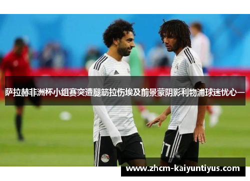 萨拉赫非洲杯小组赛突遭腿筋拉伤埃及前景蒙阴影利物浦球迷忧心一